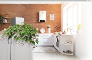 Электрический котел Thermex Quantum