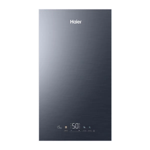 Газовый котел Haier EvoLine S 2.24TW