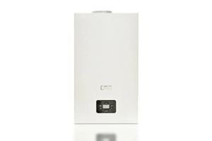 Газовый котел Ferroli Diva D F24