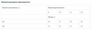 Поверхностный насос без бака UNIPUMP DP-750 с внешним эжектором