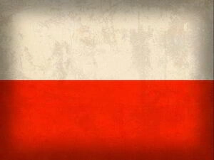 Топка Kratki Zuzia 16 Tunel