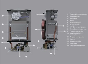 Газовый котел E.C.A. Proteus Plus Blue 24 HM