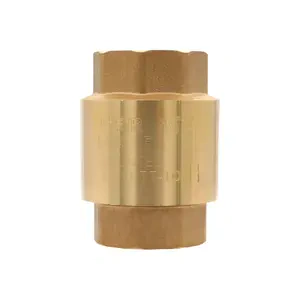 Обратный клапан с металлическим штоком стандарт VIEIR (ZH675Q)