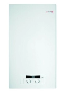 Газовый котел Protherm Lynx HK 24 (РЫСЬ)