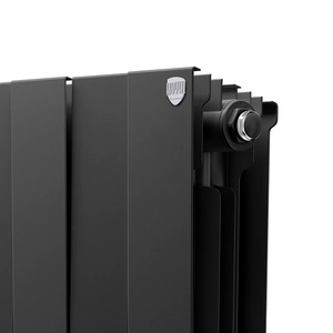 Биметаллический радиатор Royal Thermo PianoForte Noir Sable 300